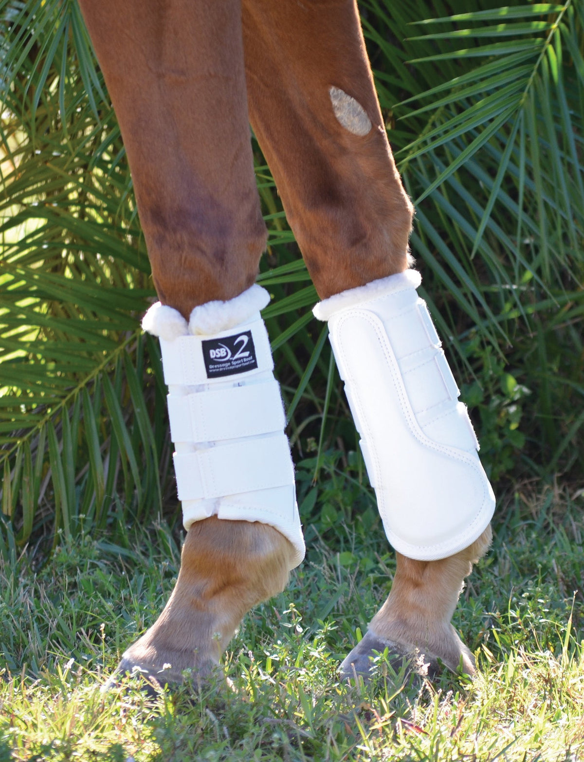 Dressage Sport Boots2