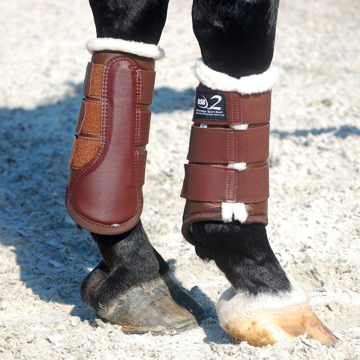 Dressage Sport Boots2