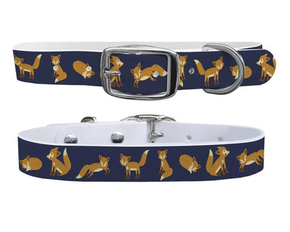 C4 Equine Print Dog Collar