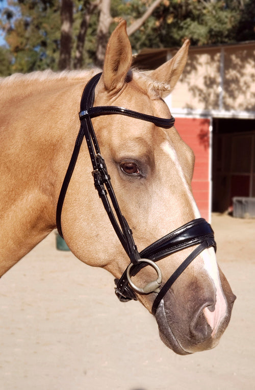 Stübben Patent Switch Combo Bridle